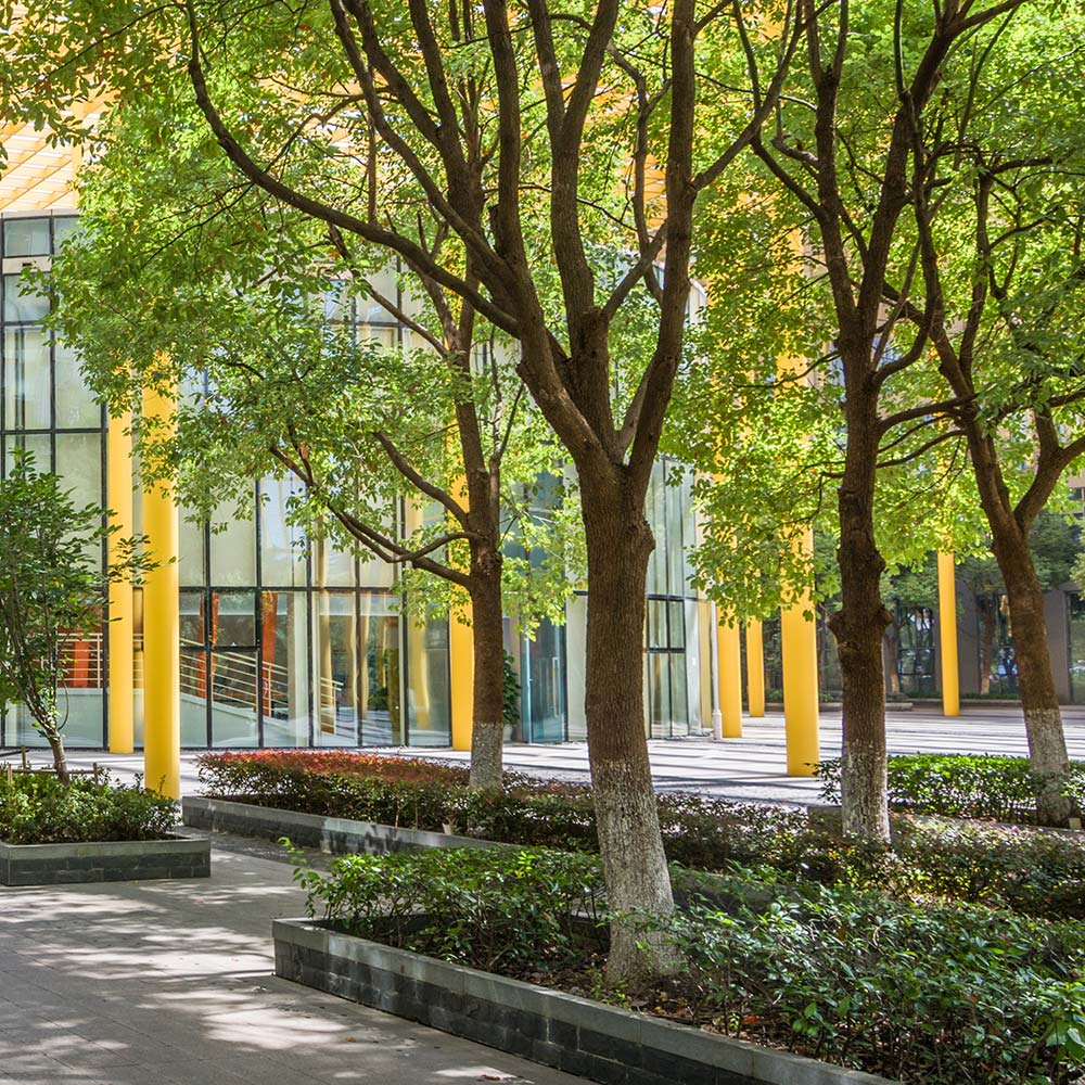 Commercial Landscaping