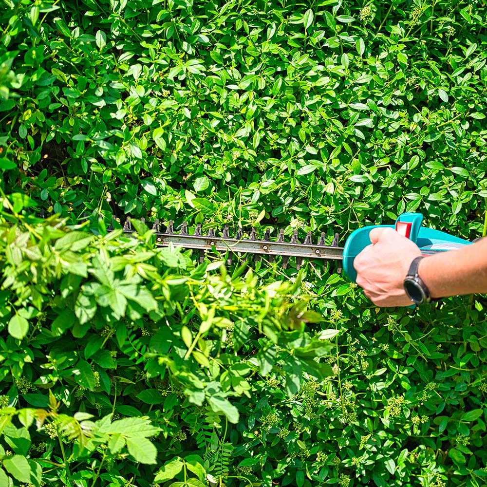 Commercial Property Maintenance