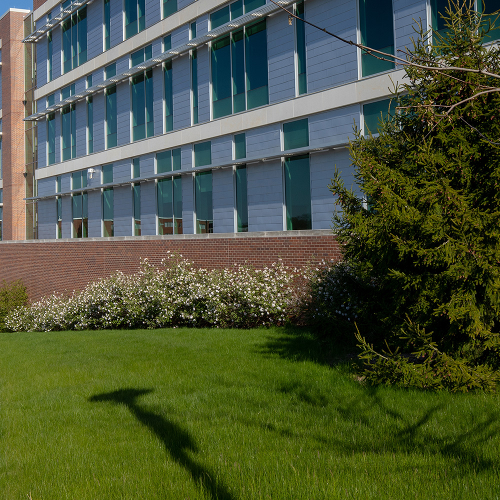 commercial turf care