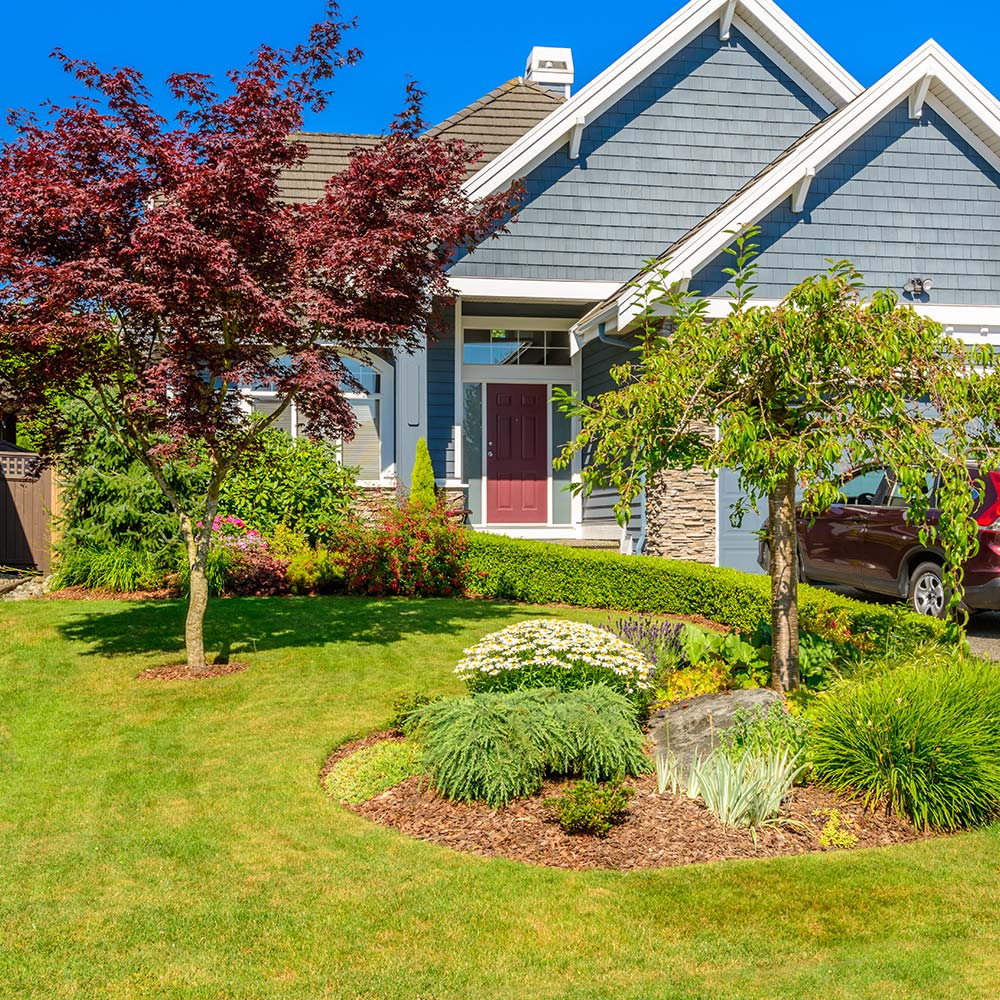 Residential Property Maintenance