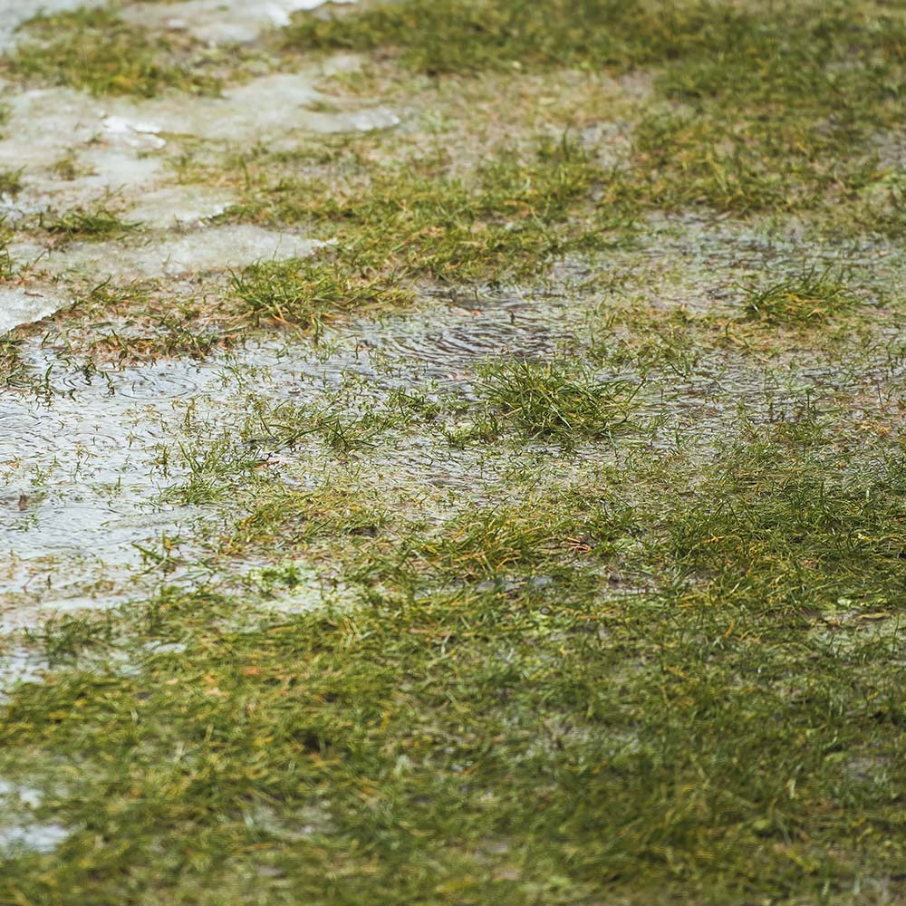 Stormwater Management
