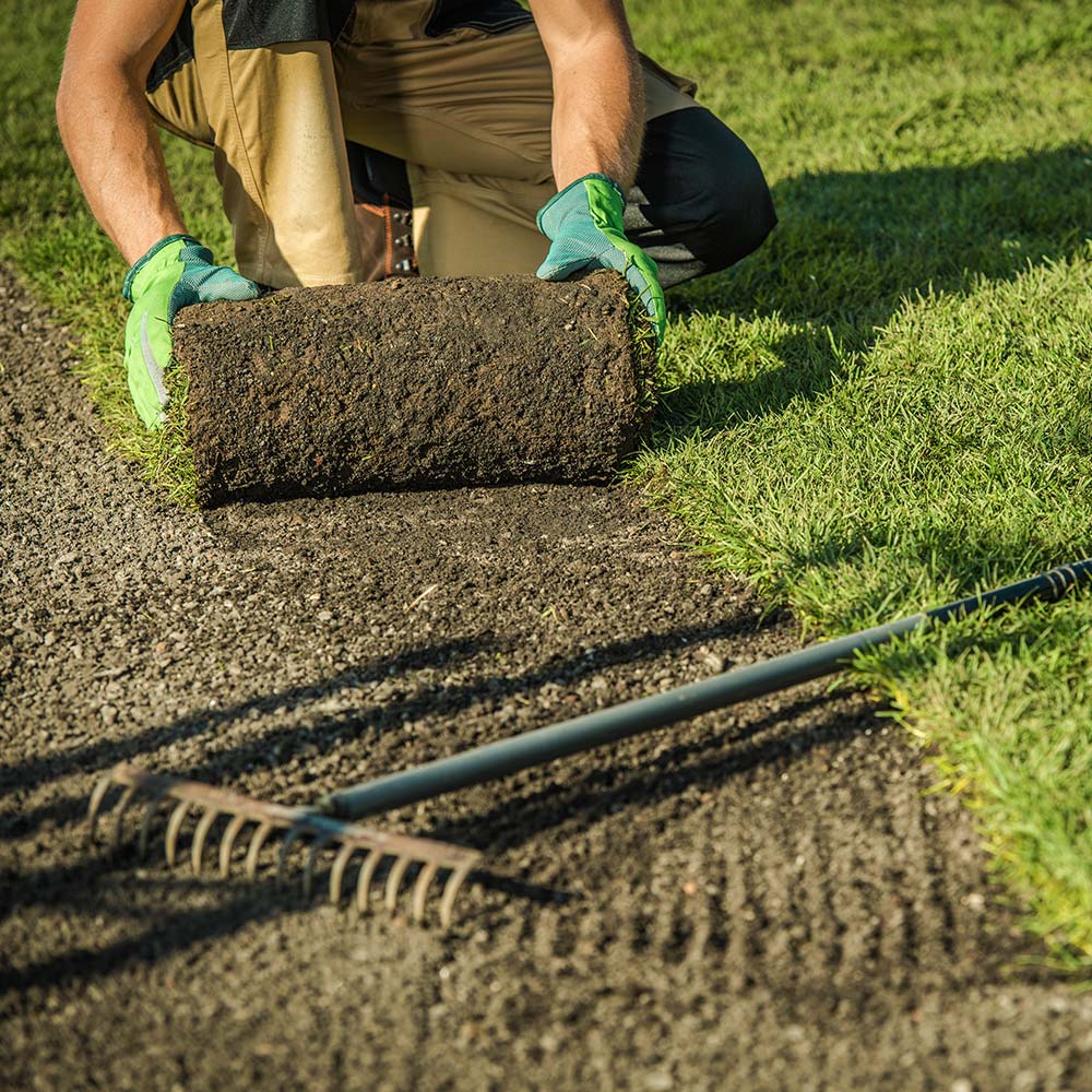 Turf Care